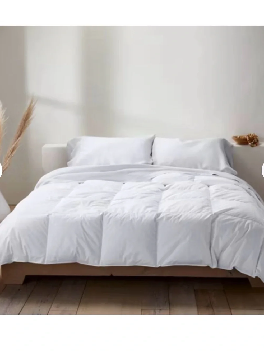 New Open Bag Twin All Season Premium Down Comforter - Casaluna™: Hypoallergenic,